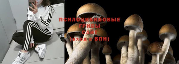 экстази Каменка